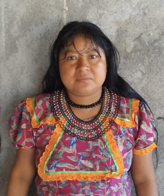 COLLAR SUSPIRO DEL FRAILEJÓN