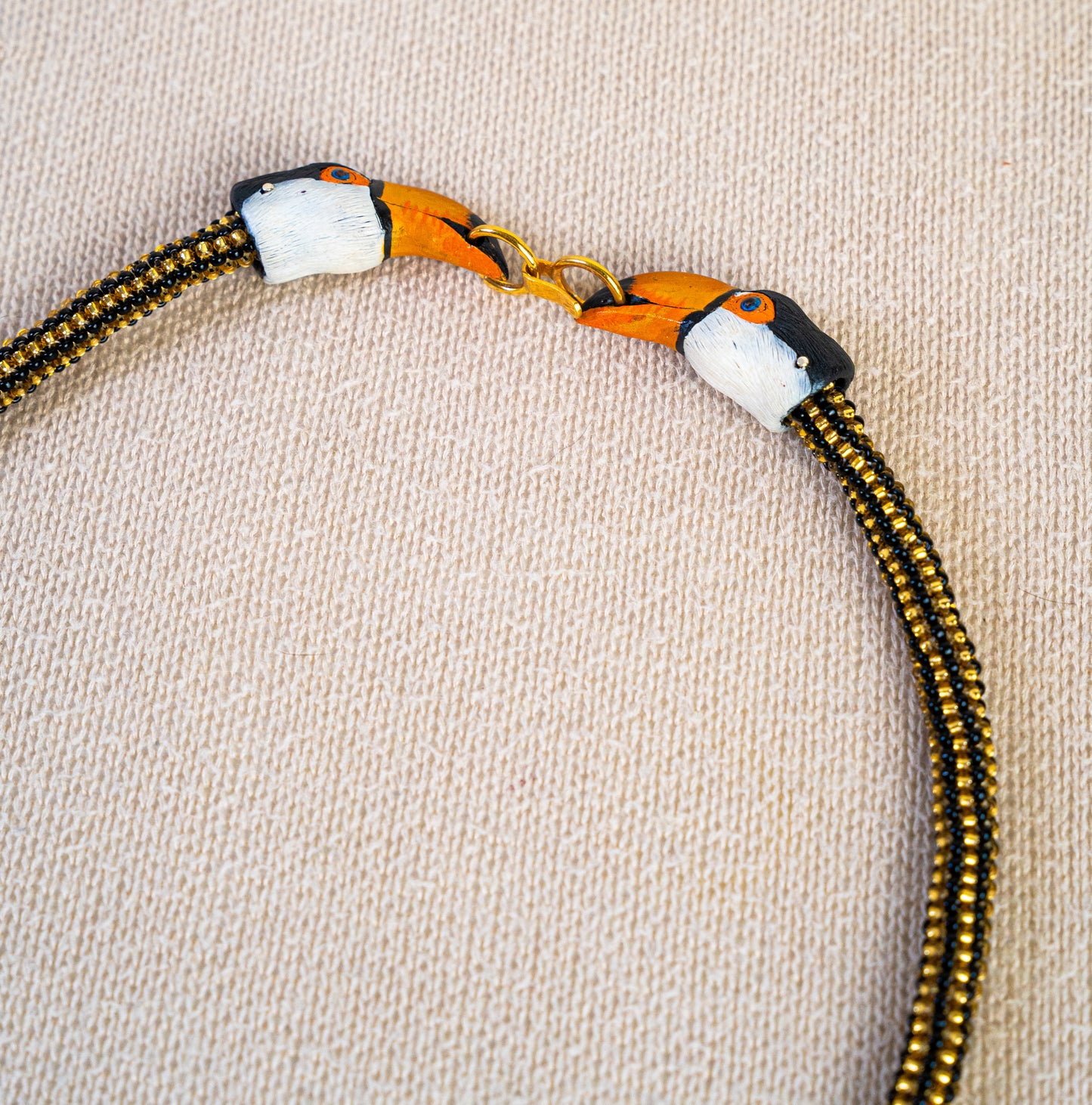 ENCUENTRO DE TUCANES